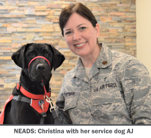 NEADS image of service and master